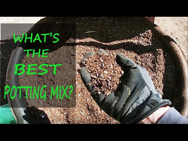 How to make Mama Judy's go-to soil mix with three ingredients! 👩🏻‍🌾  #shorts #urbangarden #soil 