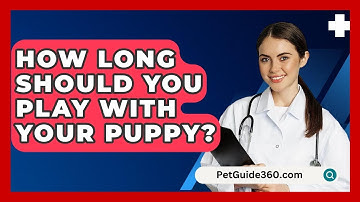How Long Should You Play With Your Puppy? - PetGuide360.com