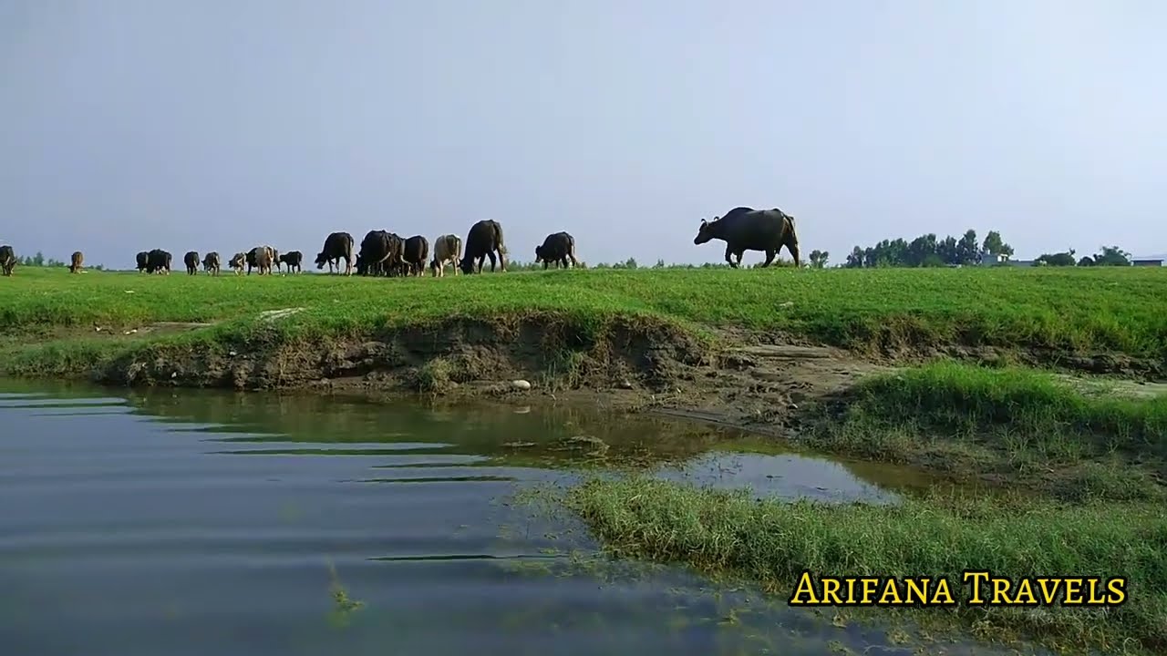 A walk around Indus River on Sunday 💖 Arifana Travels