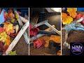 I Moved! How I Keep My Ball Pythons & What I'm Up To