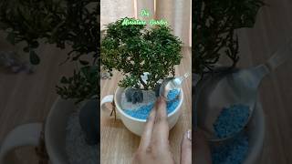 Diy Cup Miniature Garden 🏡 Gardening Hacks #shorts #diy #minigarden #homedecor #craft
