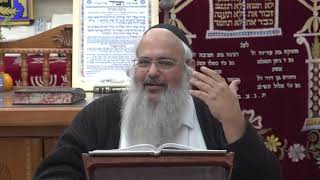 פנינים מפרשת מקץ תש"פ - הרב שלמה לווינשטיין שליט"א