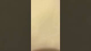 Pikachu Got Spanking By Playing Roblox