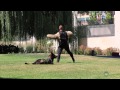 ATF Tactical K-9 Demo