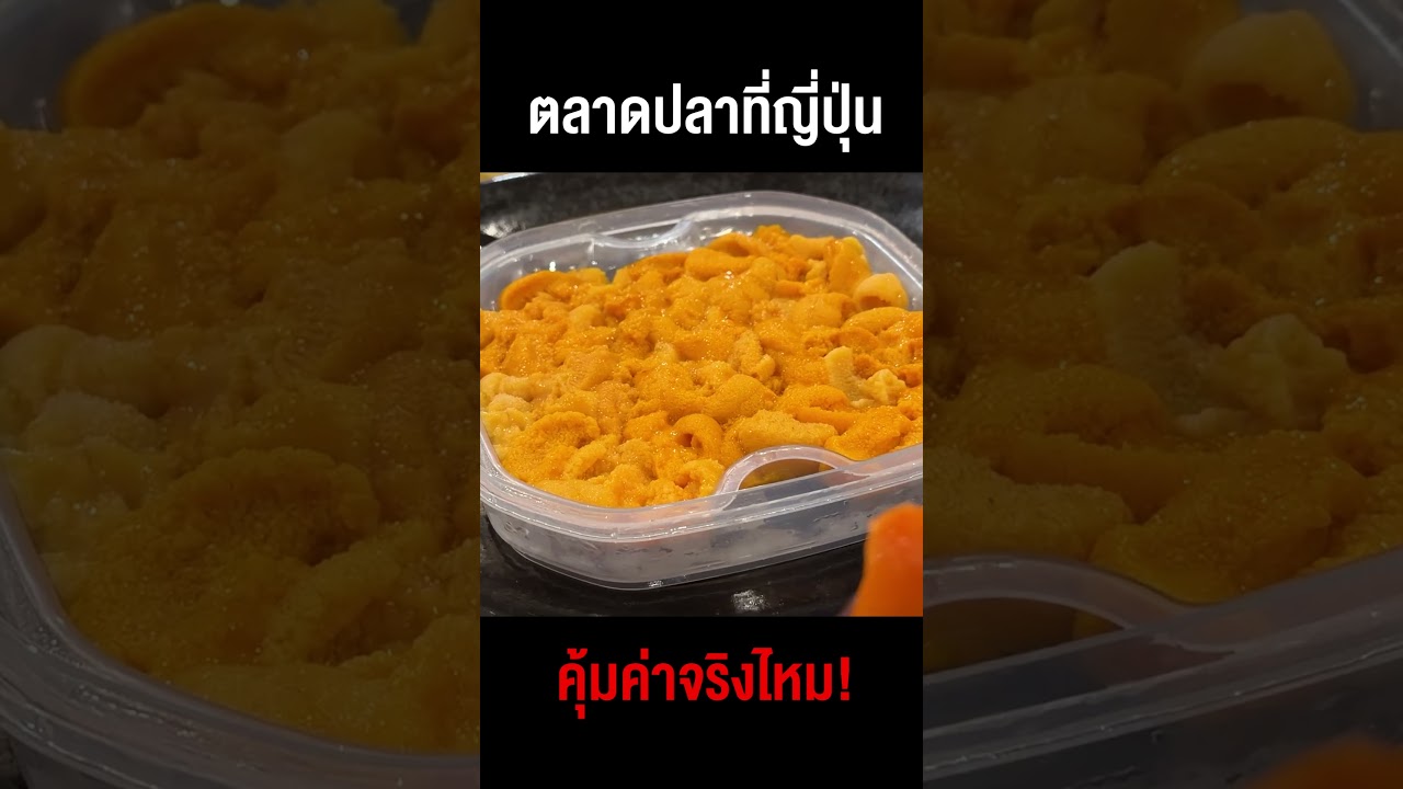 ท้าพิสูจน์ตลาดปลาที่ญี่ปุ่น ราคาถูกและคุ้มค่าจริงไหม!?