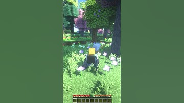 found a flower forest today!