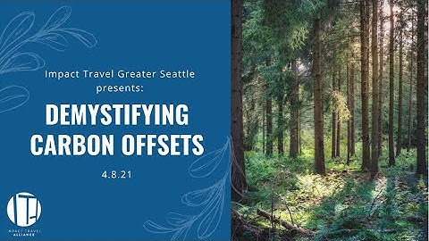 Demystifying Carbon Offsets