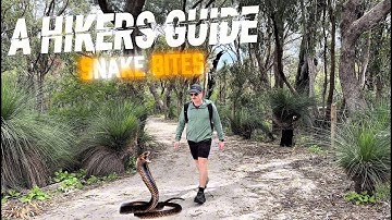 What To Do If You’re Bitten by a Snake (A Hiker’s Survival Guide)