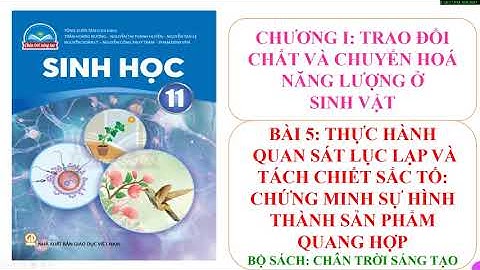 Giải bài tập sinh học 11 cơ bản bài 5 năm 2024