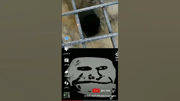 راح الجوال على باك رومز ترند الوجه الابيض Backrooms Descent 