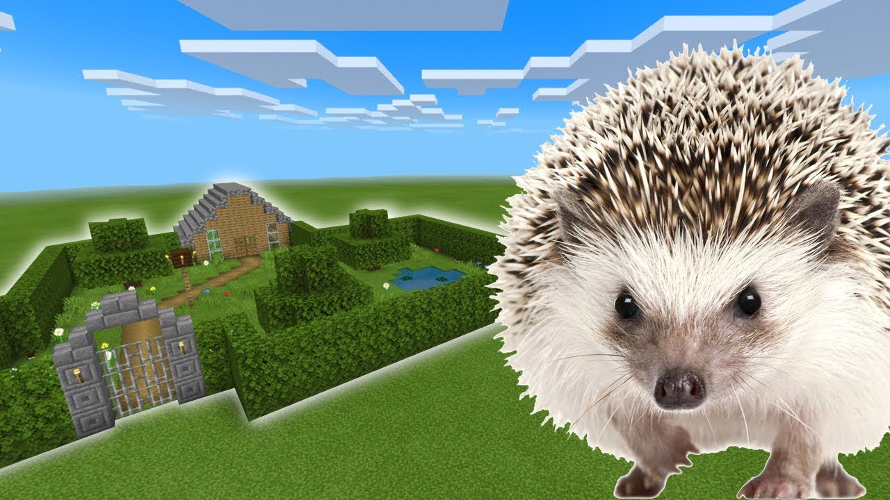 мод на ежей. еж в майнкрафте мод. ёжик в майнкрафте мод. ёжик в майнкрафте постройка. еж в майнкрафте.
