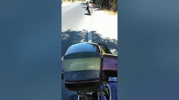 Câu cá đuối lọc an brvt