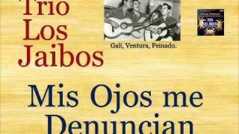 Trío Los Jaibos: Mis Ojos me Denuncian  -  (letra y acordes)