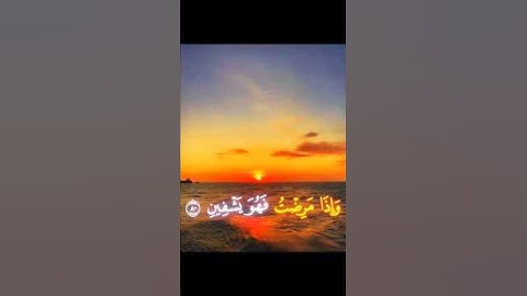 ✦ فَإِنَّهُم عَدُوٌّ لي إِلّا رَبَّ العالَمينَ | سورة الشعراء | ياسر الدوسرى