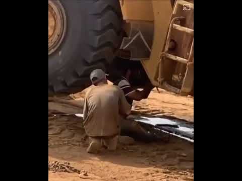 شرده شرده