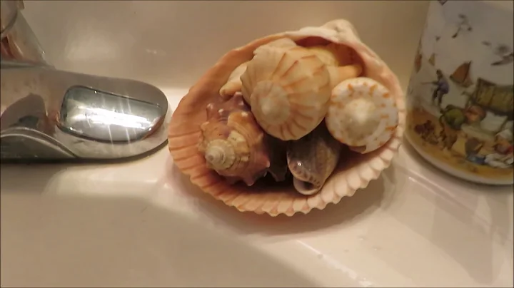 My Seashell Collection by Cathy Palmer, Feb 26 201...