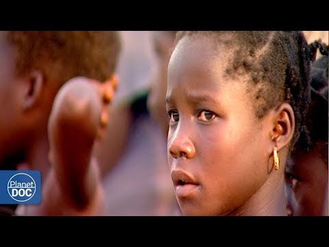 nature documentaries Communication between species (Part 4)