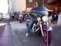 HARLEY DAVIDSON    ハーレー動画　motorcycles Crashes