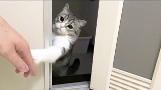 長風呂する飼い主に怒って「はよ出ろ」と急かしてくる猫…w