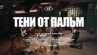 картинка: Второй Ка - Тени от пальм (Live)