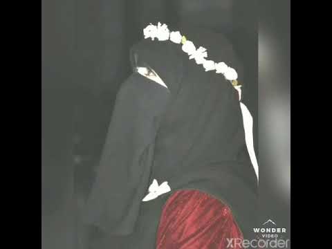طال سؤالي ماهر زين