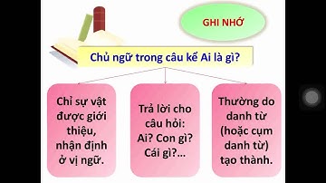 Luyện từ và câu Lơp 4: Bài Chủ ngữ trong câu kể Ai là gì?
