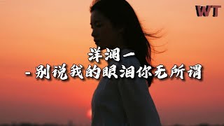 洋澜一 - 别说我的眼泪你无所谓『爱给了你 我不后悔，只希望你给我一次机会。』【动态歌词MV】