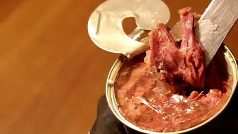 Cosa succede al cibo scaduto?