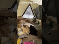 Making home in thw snow #smartliving #simpleliving #dailylife #trend #food #viralvideo #viralvideo #