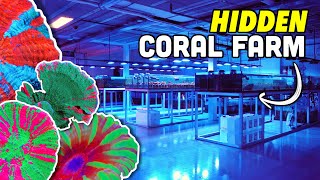 The RAREST & Most EXPENSIVE Corals I've Ever Seen in One Place!