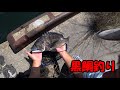 ヘチ探りマニ次郎釣行記録！黒鯛（チヌ）を釣る