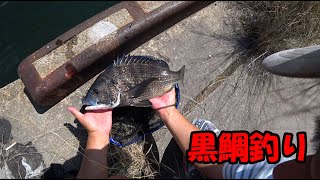 ヘチ探りマニ次郎釣行記録！黒鯛（チヌ）を釣る