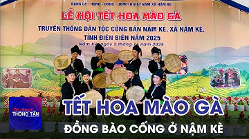 Đón Tết Hoa mào gà cùng đồng bào Cống ở Nậm Kè | Tin nhanh Thông tấn