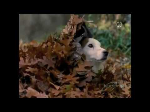 Wishbone: Digging Up the Past part 2