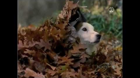 Wishbone: Digging Up the Past part 2