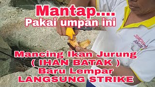 MANTAP👍👍👍 Mancing Jurung (IHAN BATAK) Pakai Umpan ini,,, Baru Lempar Langsung STRIKE