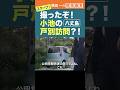 スクープ!撮ったぞ!#小池都知事 の戸別訪問? #横田一 #東京都知事選 #小池百合子 #shorts