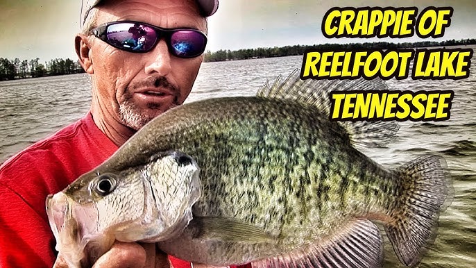 GIANT CRAPPIE OF GRENADA LAKE- Part #1 of 2 