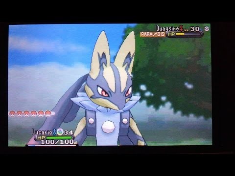 Zippy The Shiny Lucario