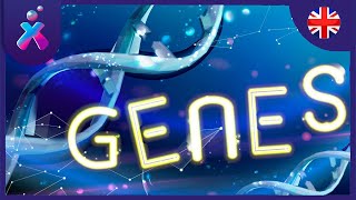 What Are Genes? | Educational Videos for Kids