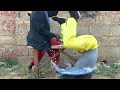 Funny comedy prank viral viral funny