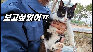애지중지하던 길고양이가 반년만에 나타나자 남집사가 보인 반응 (feat:대왕암의 봄)