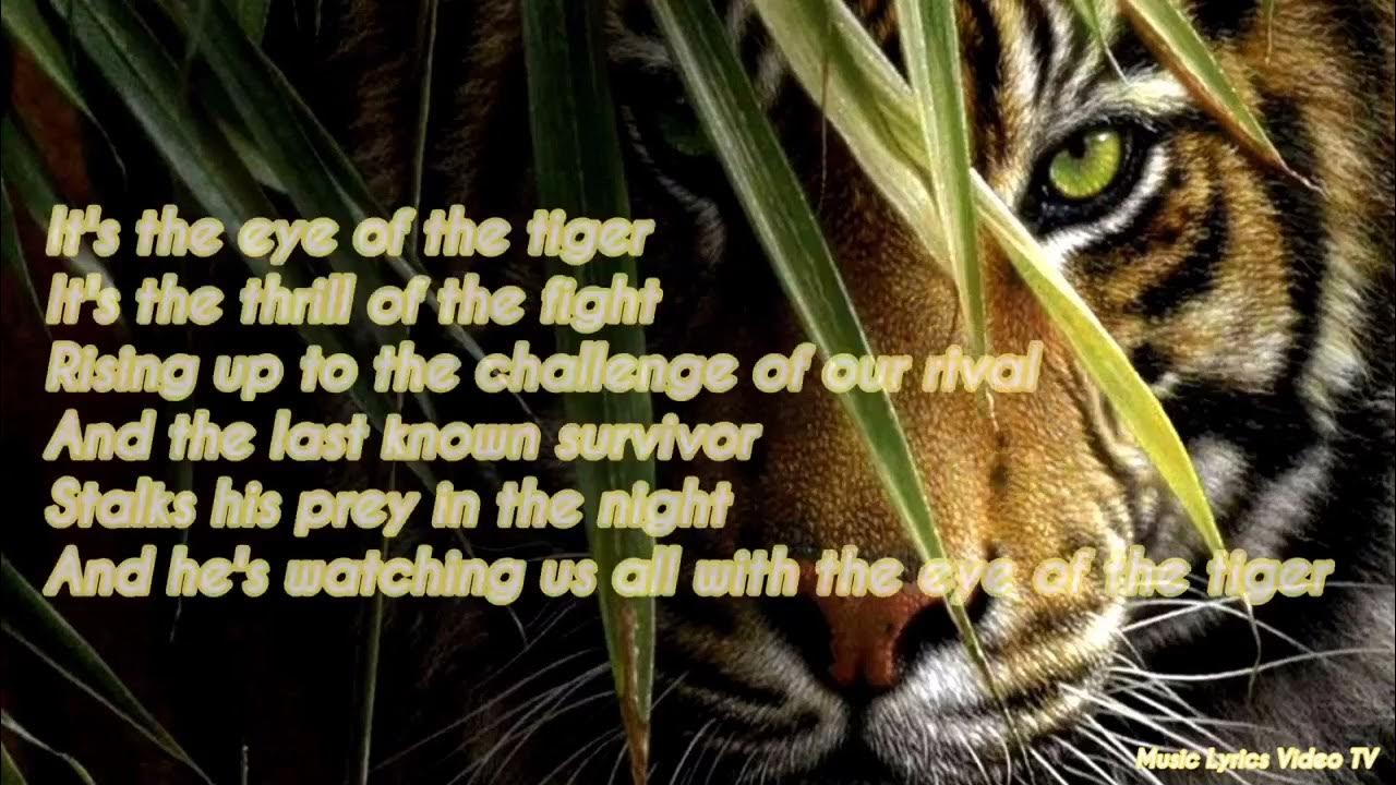 Survivor - Eye Of The Tiger (Lyrics) 