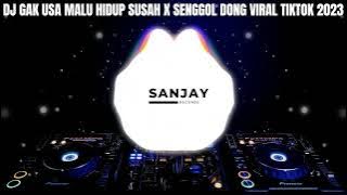DJ GAK USA MALU HIDUP SUSAH X SENGGOL DONG AFRIAN AF VIRAL TIKTOK TERBARU 2023