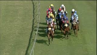 Vidéo de la course PMU PRIX TRACK AND BALL OAKS
