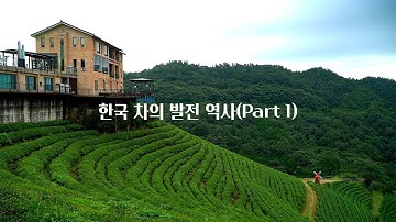 한국차의 발전 역사(Part 1)/ 정병춘 박사