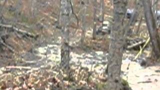 bubba fest 2011 obstacle course 2