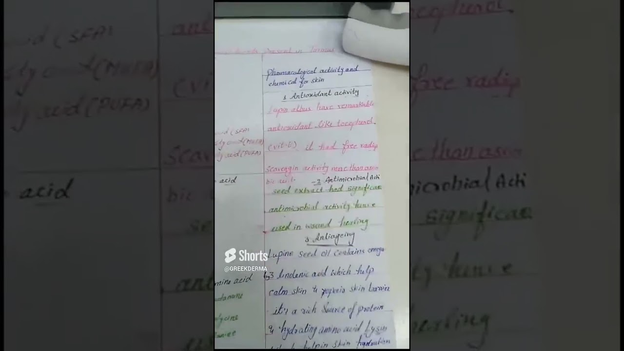 magical seed turmus/Lupin part 2