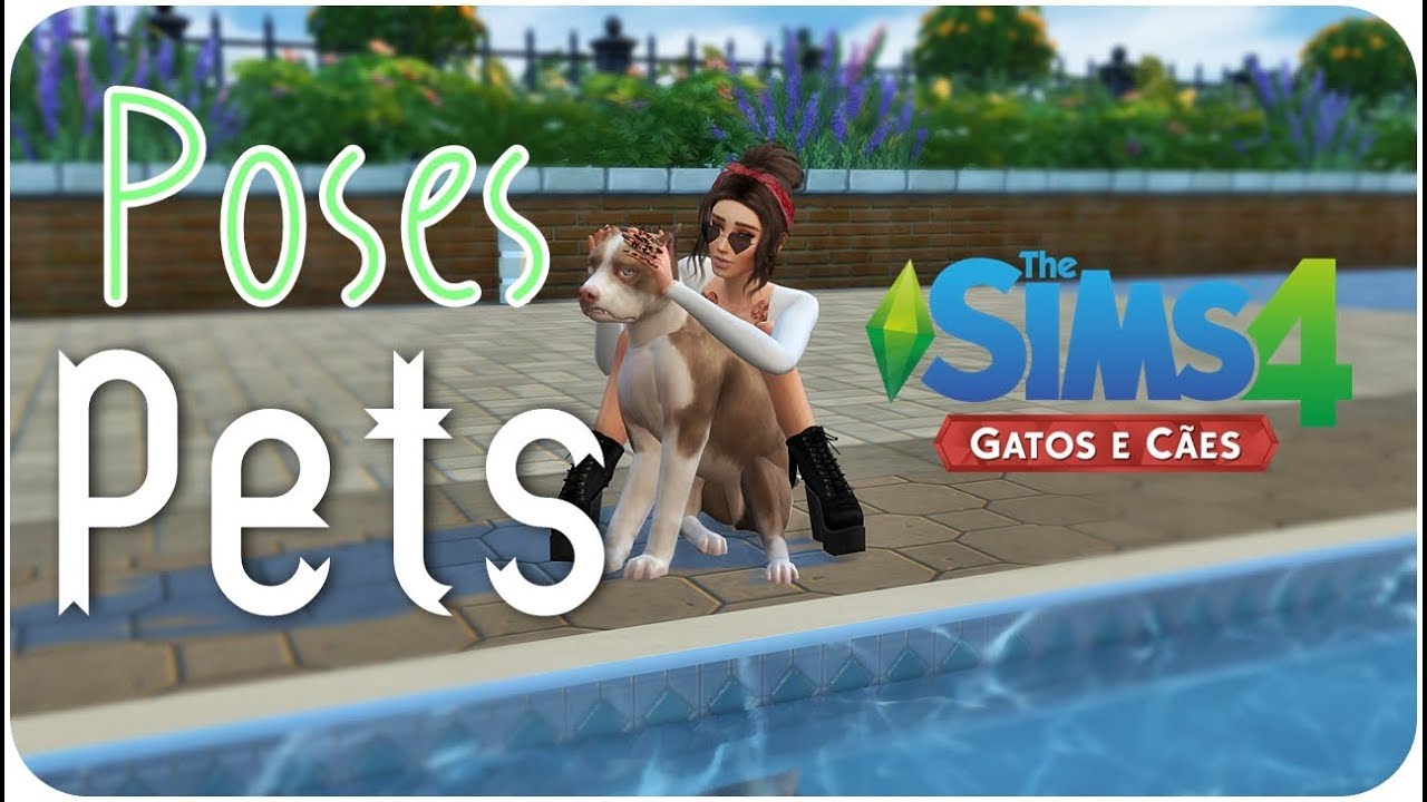 Poses Para Pets The Sims 4 Gatos E Cães Youtube