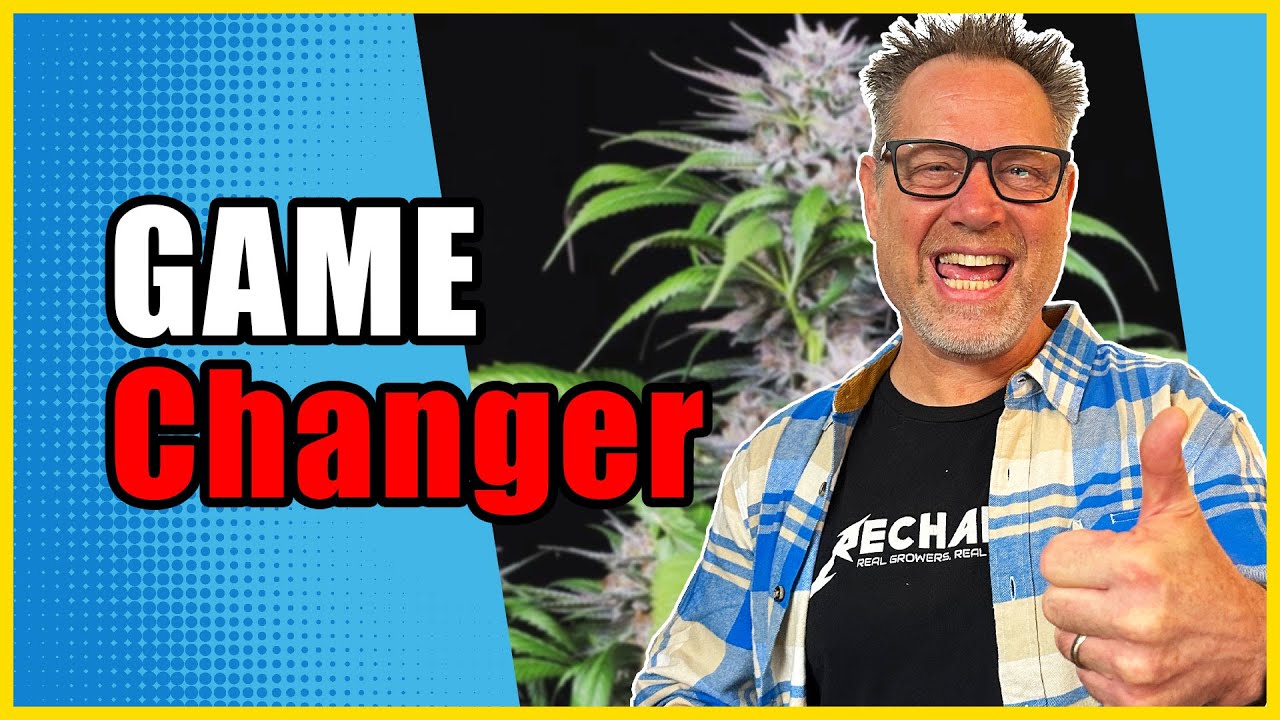 Не добавляйте диоксид кремния в процесс выращивания каннабиса, пока не посмотрите это видео